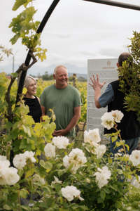 Private Tour & Tasting
