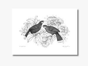Our Sacred Huia A4 print