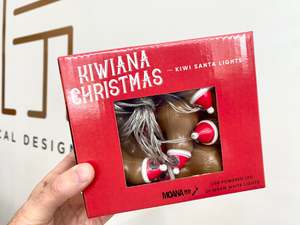 Kiwi Santa Fairy Lights