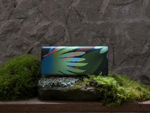 FLOX Wai Sunglasses Case
