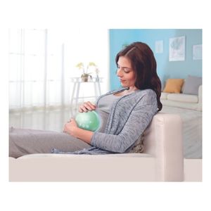 Infant Toys: Hape My Music Pal - Huggy Bobo