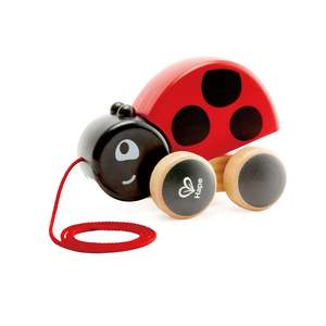 Push Pull: Ladybug Pull Along
