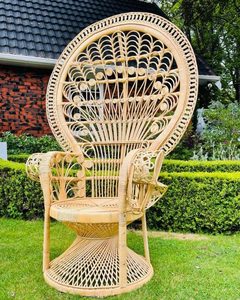Peacock Chair hire