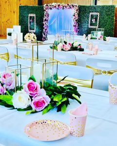 Products: Chair Sashes hire