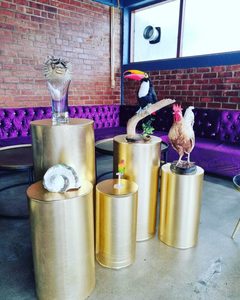 Gold plinth set of 5 hire