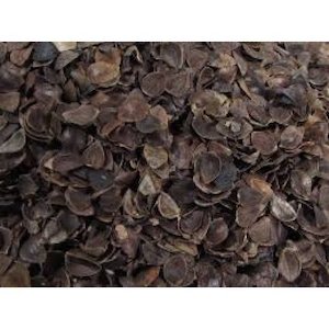 Buckwheat, Hulls, husks, organic, pillows