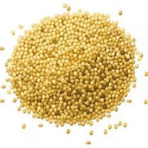 Millet (unhulled, whole) - 20kg
