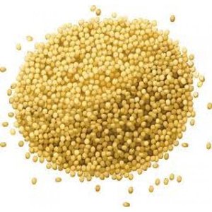 Grains & Seeds: Millet (unhulled, whole) - 20kg