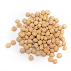 Products: NZ Grown Soya Beans, GMO Free
