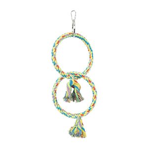 Double Ring and Swing