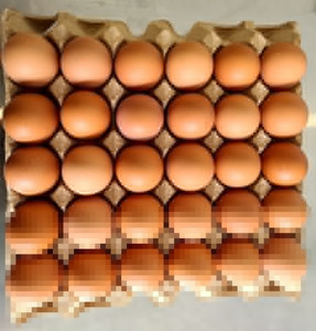 Products: Tray of 30 Size 8 + Jumbo Premium Eggs Happy Chicks