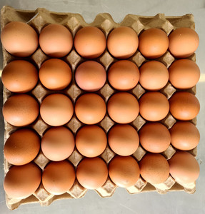 Products: Tray of 30 Size 8 + Jumbo Premium Eggs Happy Chicks
