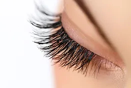 Products: Eyelash Tint