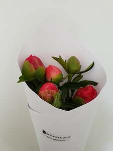 Flowers: Peony Roses