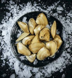 Products: Tua Tua Live 1 kg Large