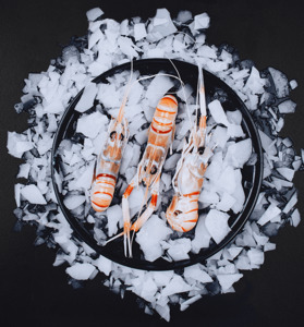 Whole Scampi Sashimi Grade 2kg