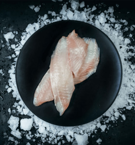 Tarakihi Fillets Fresh