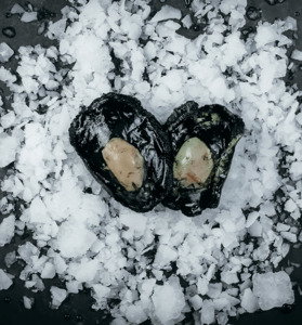 Products: Pāua (Abalone) Meat Frozen