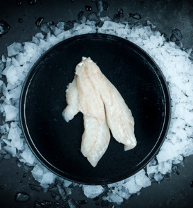 Products: Sea Perch Fillets Frozen
