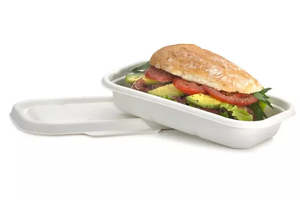 Eco Friendly: BioCane Takeaway Food Trays