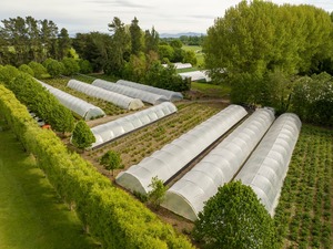 Commercial Greenhouses: Portable Crop Protector