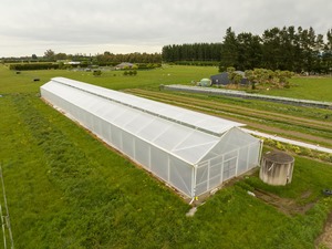 Commercial Greenhouses: MaxiSpan