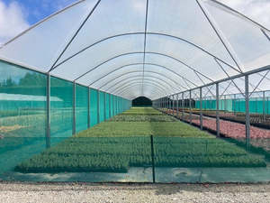 Commercial Greenhouses: Crop Topper