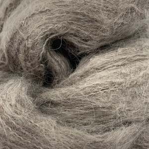 Floofs: Wet Driftwood