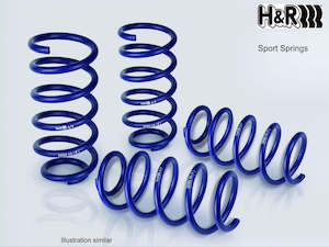 H&R | 20MM LOWERING SPRINGS | AUDI B9 RS4/RS5