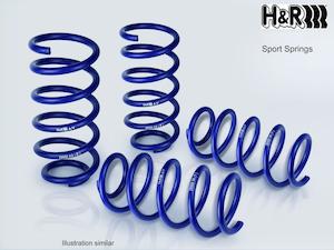 H&R | 30MM LOWERING SPRINGS | PASSAT R36
