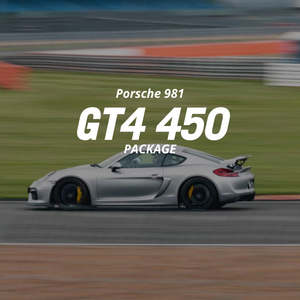 981 Gt4 450 Package