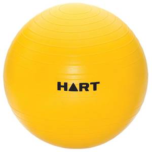 Swiss Balls Accessories: HART Swiss Balls