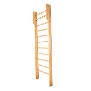 Gymnastics Apparatus: HART Wall Bars