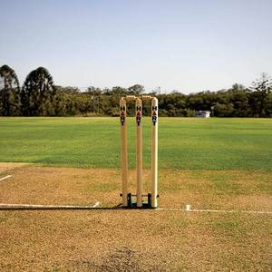 Cricket: HART Spring Back Stumps Wooden