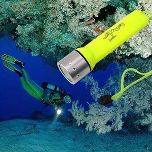 Products: Perfect Image Dive Torch