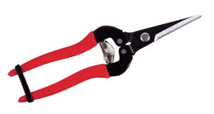 300L Long Nose Fruit Snip