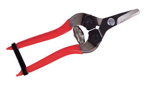 310 Curved Nose fruit Snip