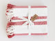 Coronado Stripe Throw - Brick/White