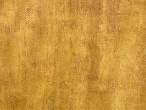 Fabric: Glenorchy Velvet Fabric - Burnt Ochre