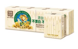 Wheat Straw Facial Tissue 60 Packs/CTN - Harxin