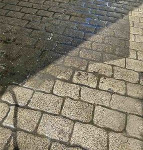 Products: BioDefend Concrete Cleaner – Moss & Mould Killer (Disinfectant Type) Hasan Cosmetics New Zealand