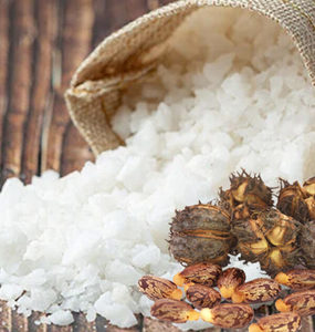 Products: Castor Wax Flakes Hasan Cosmetics New Zealand