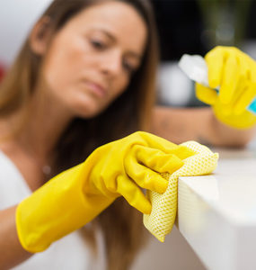 Products: EcoShine Bathroom Disinfectant Hasan Cosmetics New Zealand