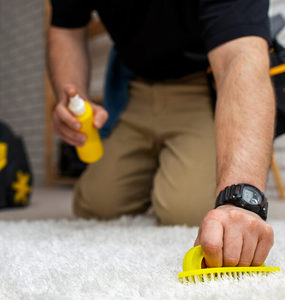 EcoShine Carpet Cleaner Hasan Cosmetics New Zealand