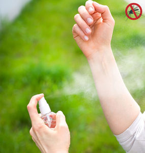 Shelter Insect repellent Body Spray Hasan Cosmetics New Zealand