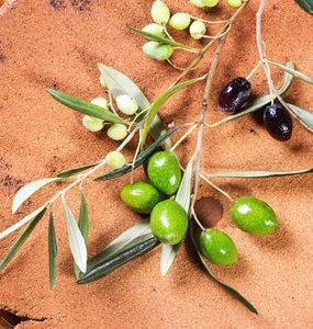 Oliver Butter Hasan Cosmetics New Zealand