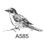 Products: Birds