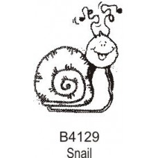 B4129 Snail
