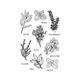 CM155 Fresh Herbs Clear Stamps