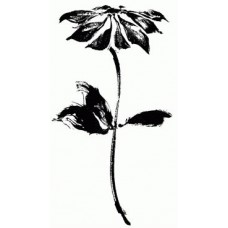 Penny Black: 3241K Solitaire